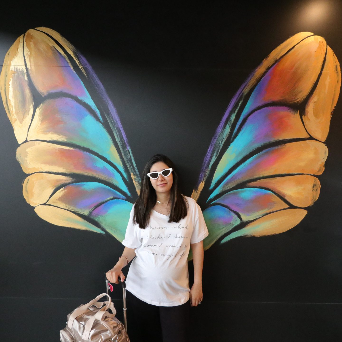 MerlotandChat_airport_Butterfly
